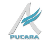 Pucará S.A.